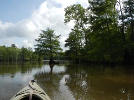 Cooks Lake to Scatterman Paddling Trail - 2