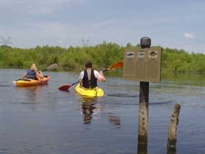 Paddlers