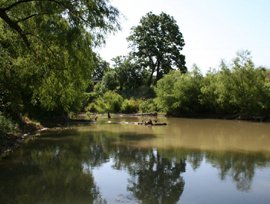 Saspamco Paddling Trailriver